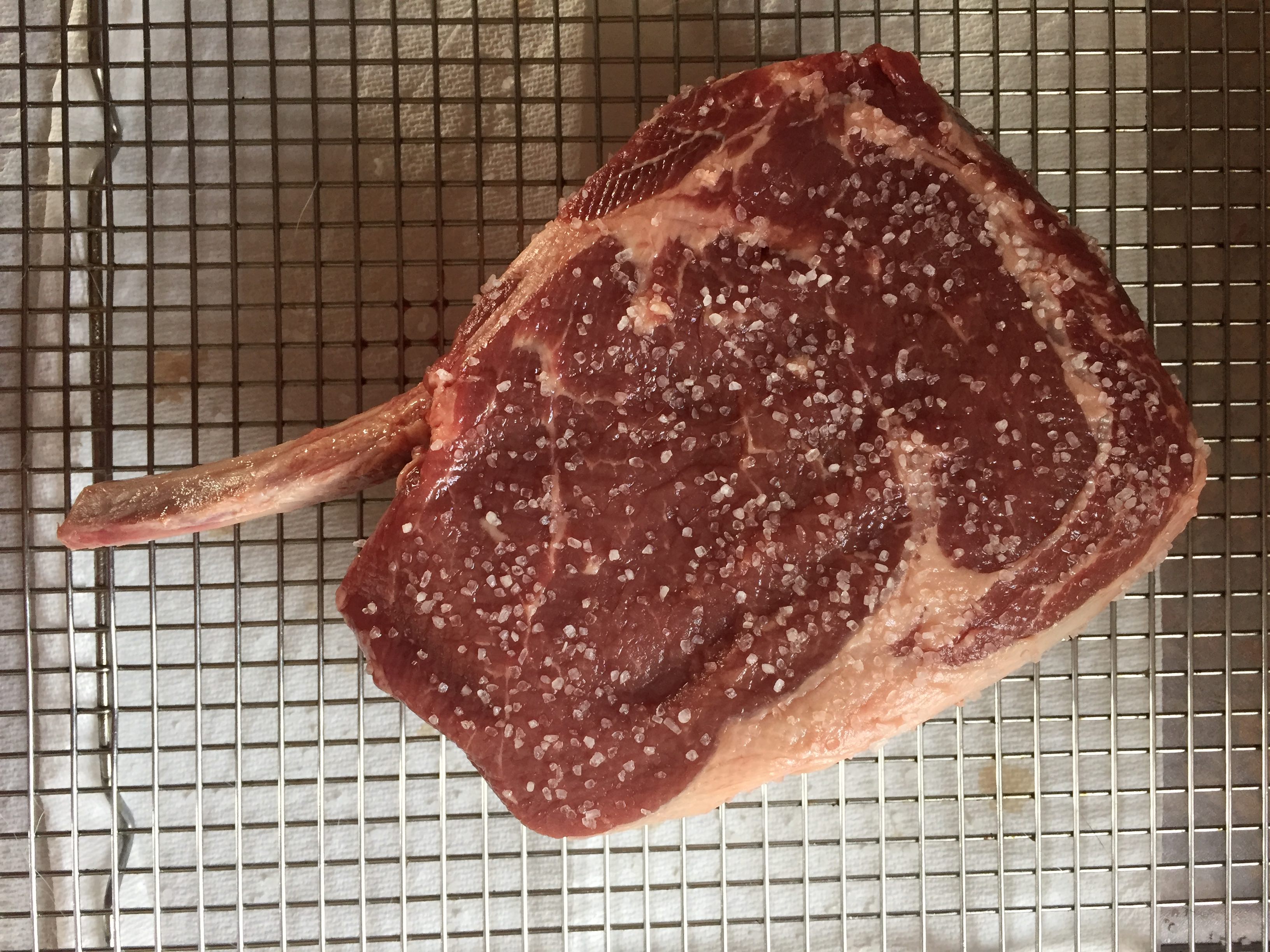 Sous Vide BoneIn Ribeye Steak