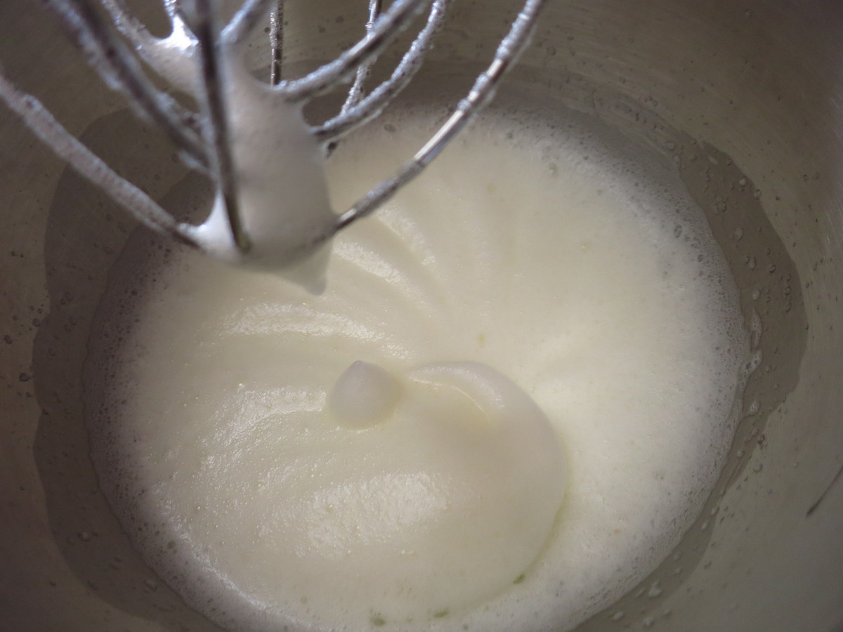 Sous Vide Coconut Almond Semifreddo with Chocolate Ganache