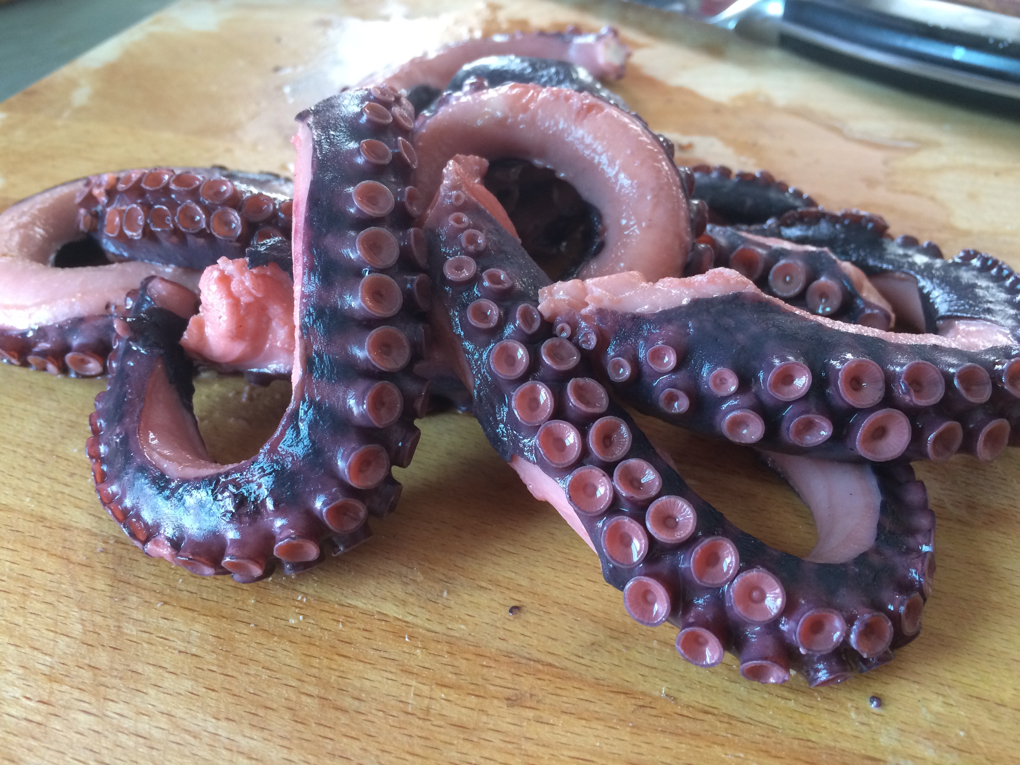 Sous Vide Grilled Octopus