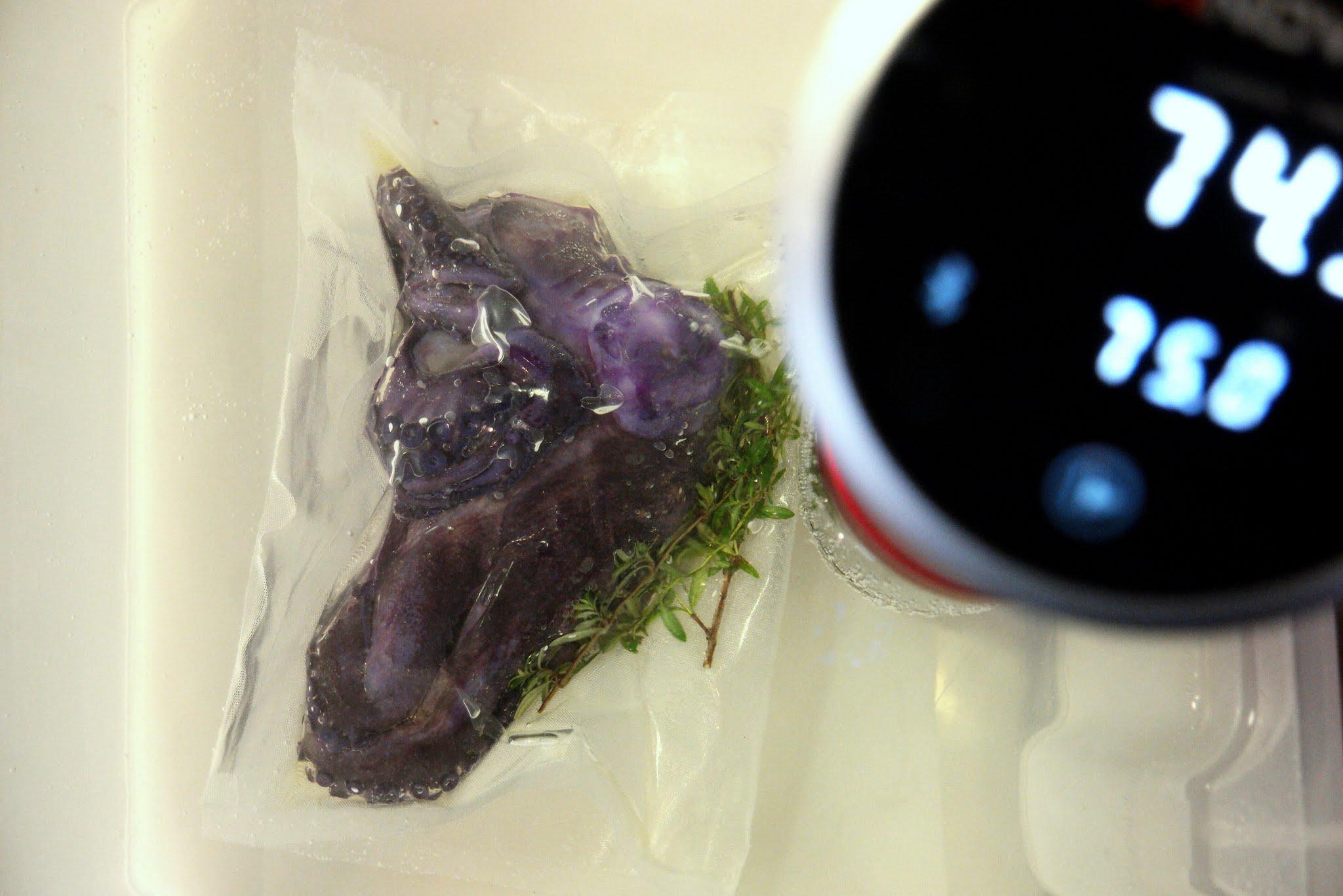 Sous Vide Octopus