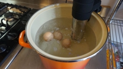 https://images.anovaculinary.com/sous-vide-soft-boiled-eggs/directions/sous-vide-soft-boiled-eggs-directions-image-small-3.jpg