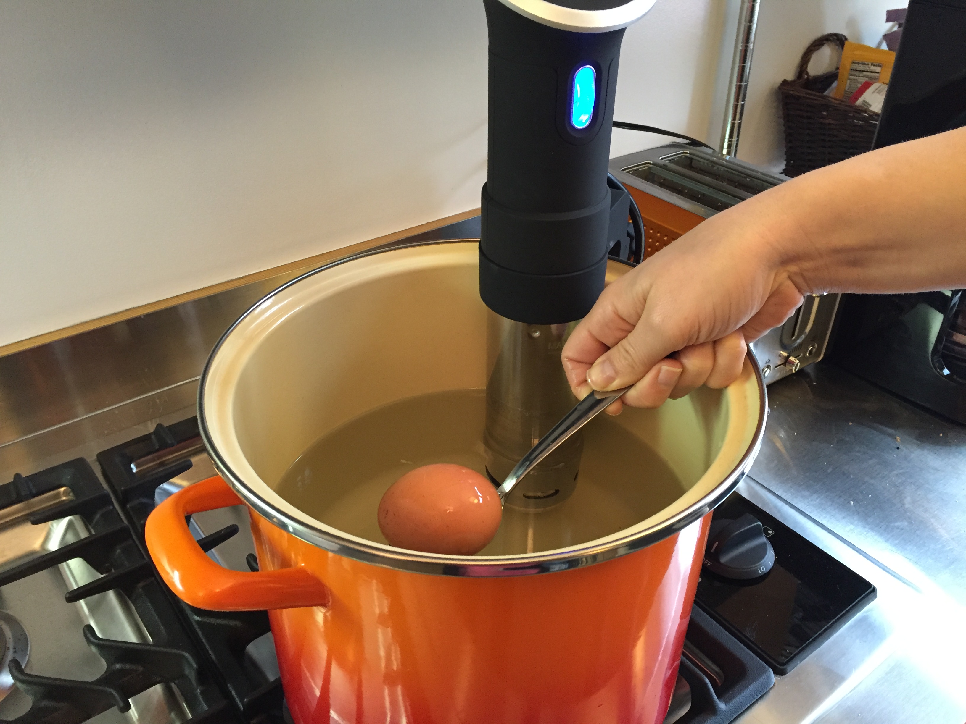 Sous Vide SoftBoiled Egg