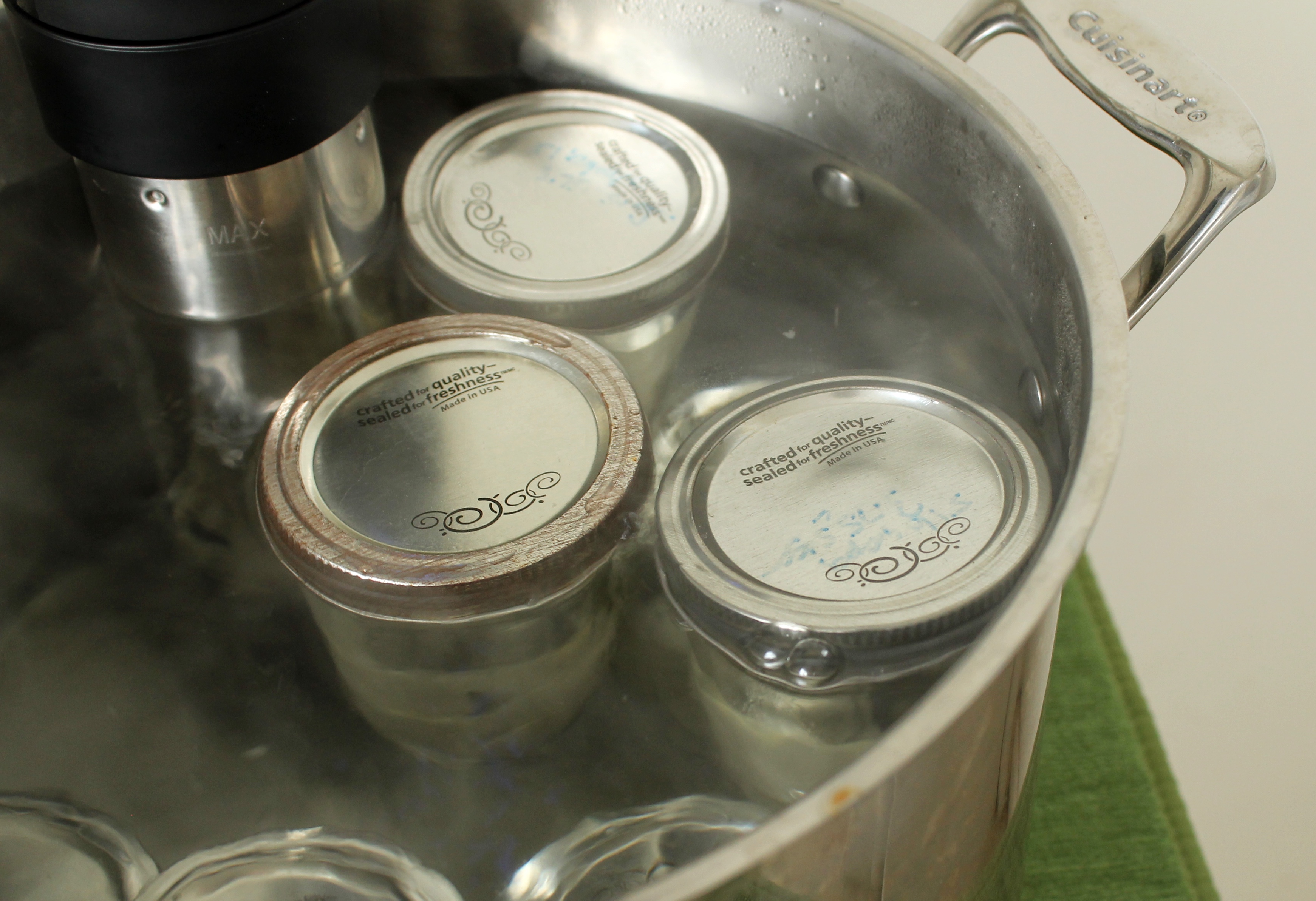 Sous Vide Vanilla Cake with Chocolate Frosting